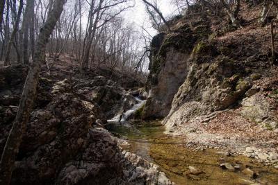 Прикрепленное изображение: A58DSC08051.jpg